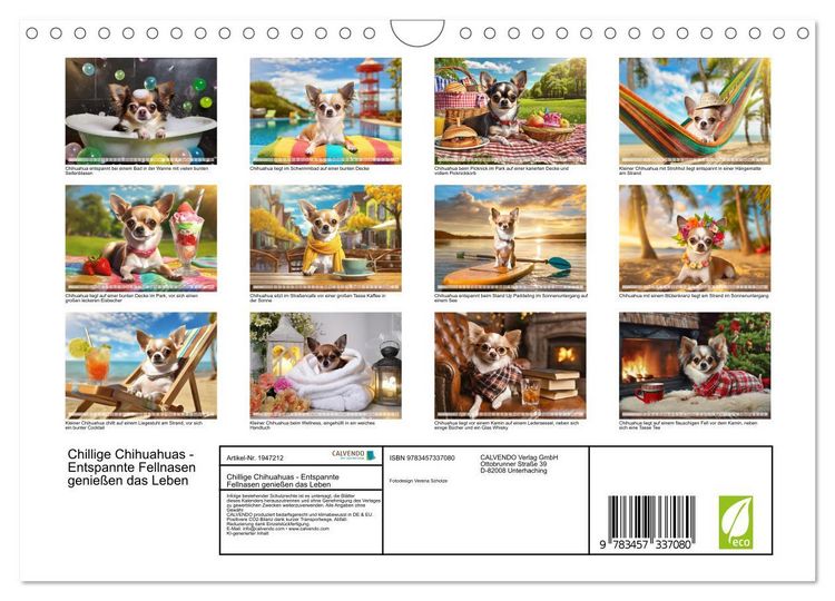 Produktbild: Chillige Chihuahuas - Entspannte Fellnasen genie&szlig;en das Leben (Wandkalender 2026 DIN A4 quer), CALVENDO Monatskalender
