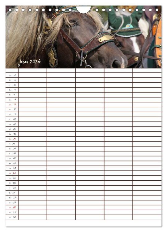 Produktbild: Der Kaltblut-Familienplaner (Wandkalender 2026 DIN A4 hoch), CALVENDO Monatskalender