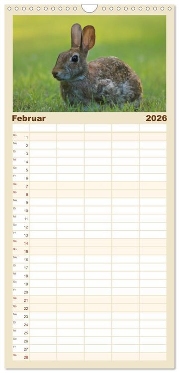 Produktbild: Familienplaner 2026 - Hasen - Die niedlichen Hoppeltiere. mit 5 Spalten (Wandkalender, 21 x 45 cm) CALVENDO