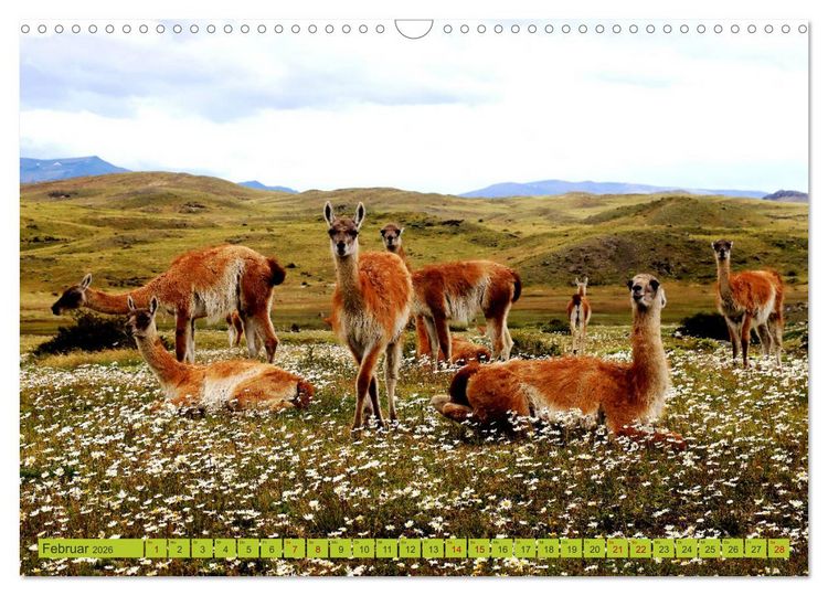 Produktbild: M&auml;rchenwelt Patagonien (Wandkalender 2026 DIN A3 quer), CALVENDO Monatskalender