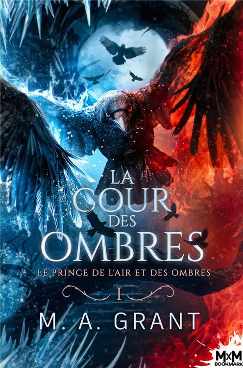 Produktbild: Le prince de l'Air et des Ombres