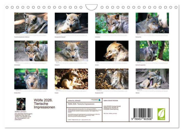 Produktbild: W&ouml;lfe 2026. Tierische Impressionen (Wandkalender 2026 DIN A4 quer), CALVENDO Monatskalender