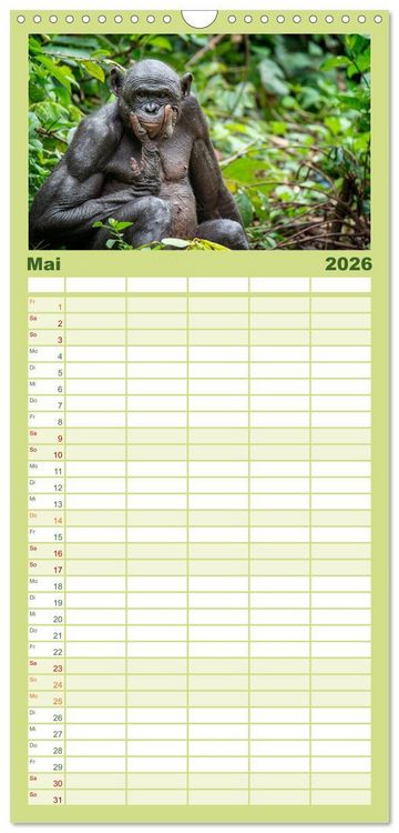 Produktbild: Familienplaner 2026 - KONGO - das dunkle Herz Afrikas mit 5 Spalten (Wandkalender, 21 x 45 cm) CALVENDO