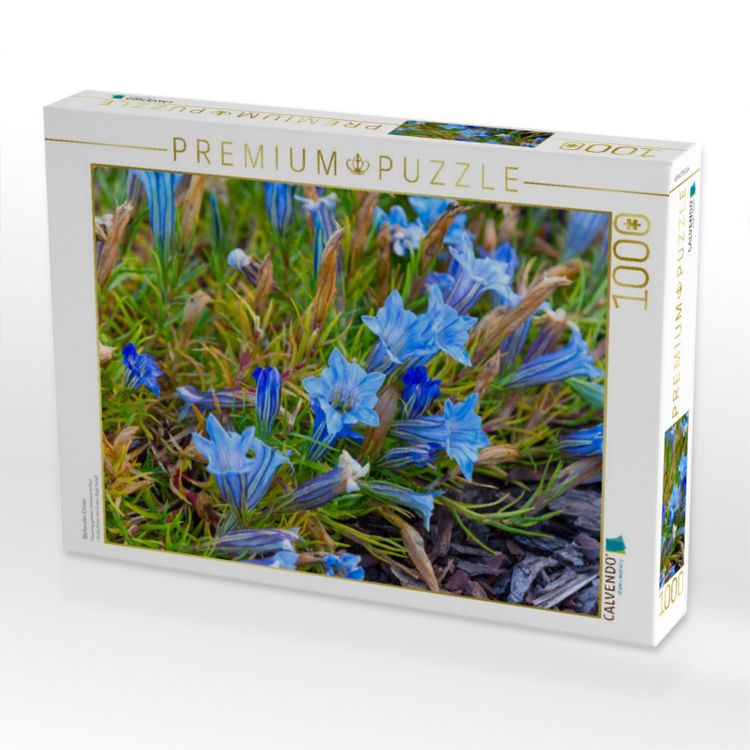 Produktbild: CALVENDO Puzzle Bl&uuml;hender Enzian | 1000 Teile Lege-Gr&ouml;&szlig;e 64x48cm Foto-Puzzle f&uuml;r gl&uuml;ckliche Stunden