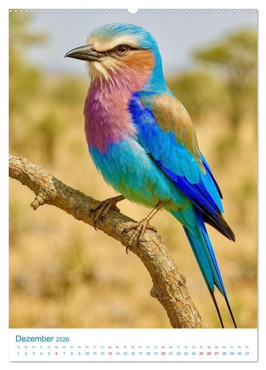 Produktbild: Blaue V&ouml;gel (hochwertiger Premium Wandkalender 2026 DIN A2 hoch), Kunstdruck in Hochglanz