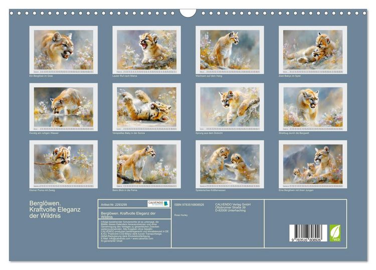 Produktbild: Bergl&ouml;wen. Kraftvolle Eleganz der Wildnis (Wandkalender 2027 DIN A3 quer), CALVENDO Monatskalender