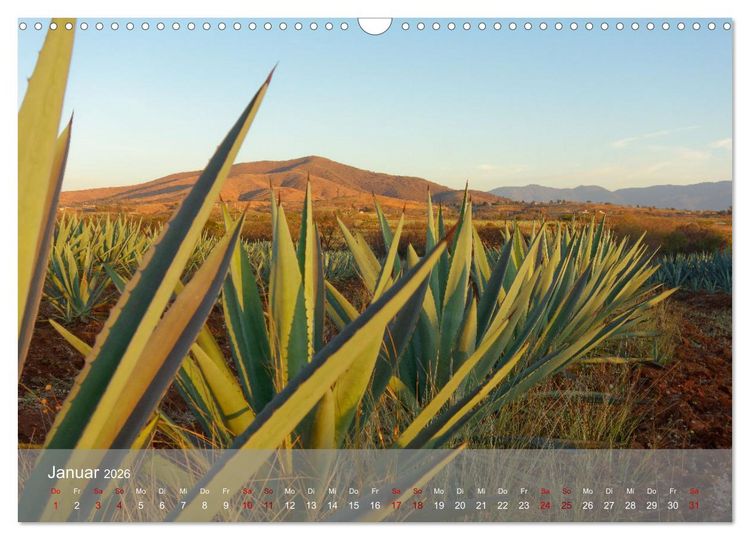 Produktbild: Bekanntes und Unbekanntes MEXIKO (Wandkalender 2026 DIN A3 quer), CALVENDO Monatskalender