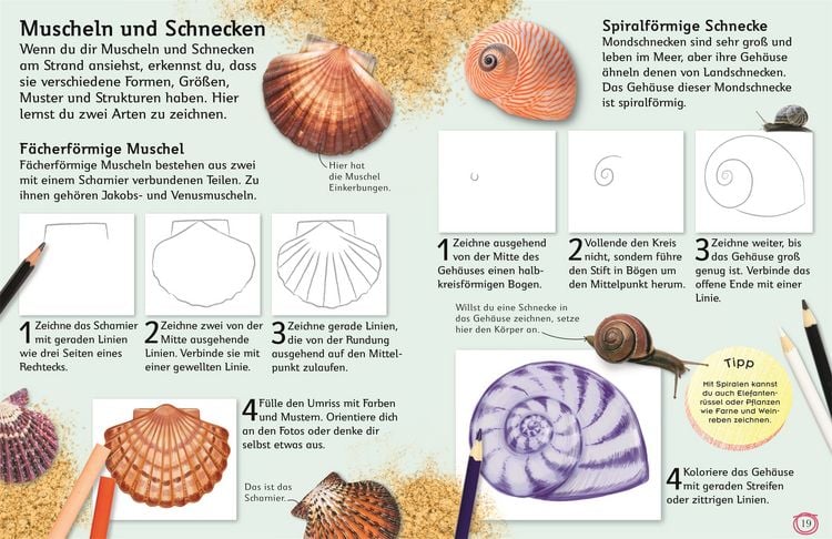 Produktbild: Zeichnen lernen