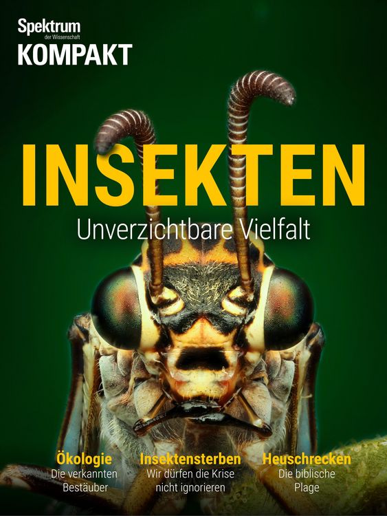 Produktbild: Spektrum Kompakt - Insekten