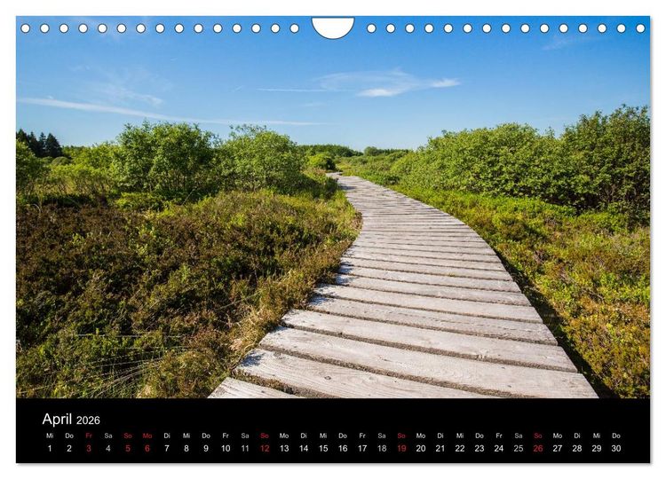 Produktbild: HOHES VENN - Einblicke in ein Hochmoor (Wandkalender 2026 DIN A4 quer), CALVENDO Monatskalender