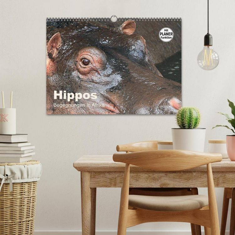 Produktbild: Hippos - Begegnungen in Afrika (Wandkalender 2027 DIN A3 quer), CALVENDO Monatskalender