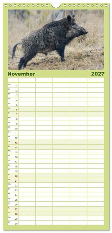 Produktbild: Familienplaner 2027 - Wildschweine &ndash; Wildlife Fotografien mit 5 Spalten (Wandkalender, 21 x 45 cm) CALVENDO
