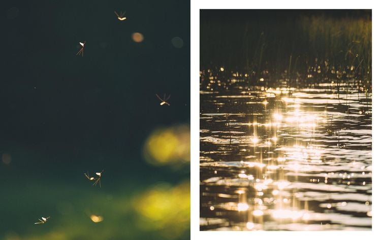 Produktbild: Nordic Feeling