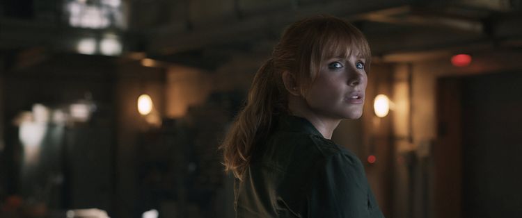 Produktbild: Jurassic World: Das gefallene K&ouml;nigreich (+ Blu-ray 2D)