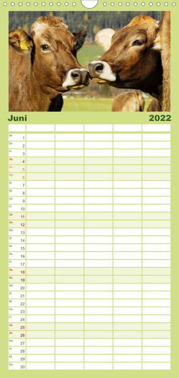 Produktbild: Ein Herz f&uuml;r Rinder - Familienplaner hoch (Wandkalender 2022 , 21 cm x 45 cm, hoch)