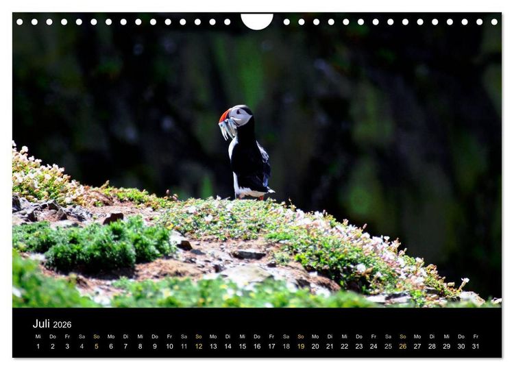 Produktbild: Wales Pembrokeshire - Natur im Fokus- (Wandkalender 2026 DIN A4 quer), CALVENDO Monatskalender