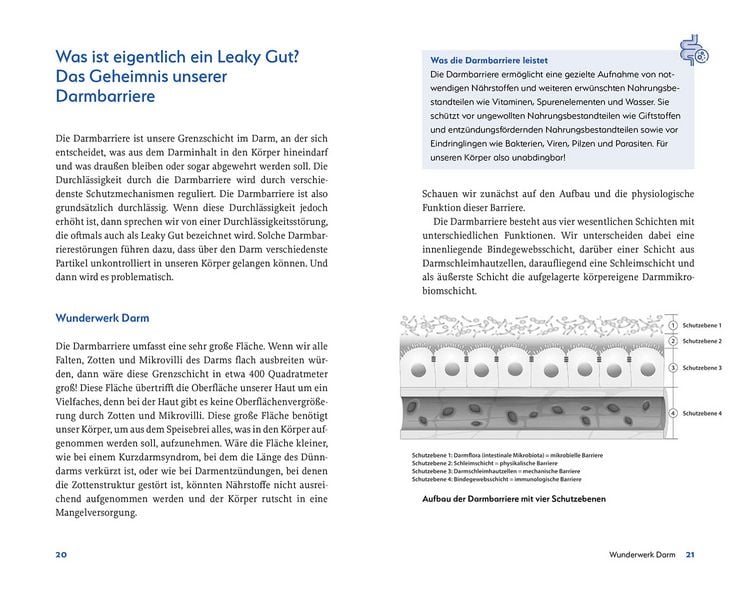 Produktbild: Leaky Gut und SIBO
