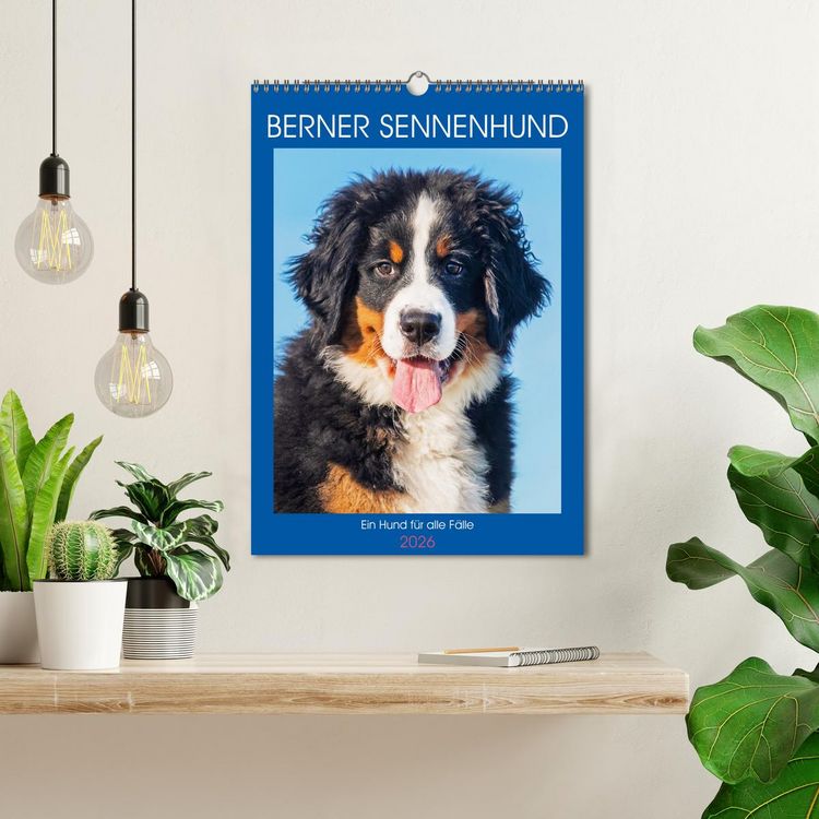 Produktbild: Berner Sennenhund - Ein Hund f&uuml;r alle F&auml;lle (Wandkalender 2026 DIN A3 hoch), CALVENDO Monatskalender