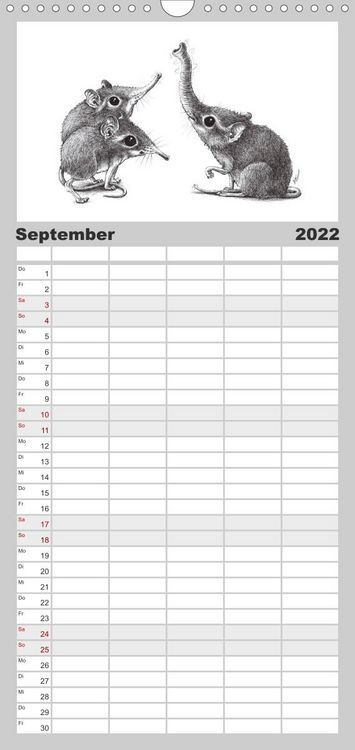 Produktbild: Familienplaner TIERONISCH (Wandkalender 2022 , 21 cm x 45 cm, hoch)