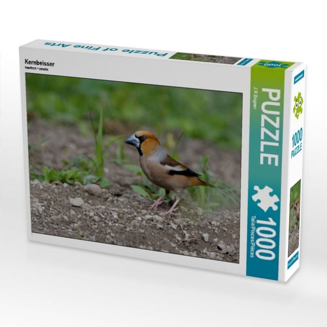 Produktbild: CALVENDO Puzzle Kernbeisser 1000 Teile Puzzle quer | 1000 Teile Lege-Gr&ouml;&szlig;e 64 &times; 48 cm Foto-Puzzle f&uuml;r gl&uuml;ckliche Stunden