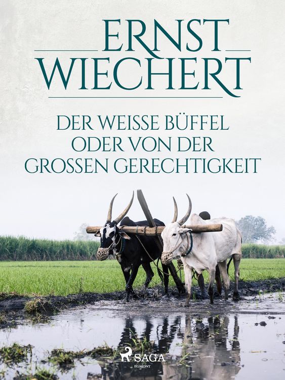 Produktbild: Der wei&szlig;e B&uuml;ffel, oder Von der gro&szlig;en Gerechtigkeit