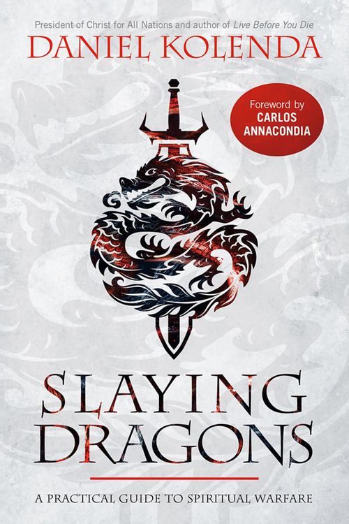 Produktbild: Slaying Dragons
