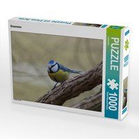 Produktbild: CALVENDO Puzzle Blaumeise 1000 Teile Lege-Gr&ouml;&szlig;e 64 x 48 cm Foto-Puzzle Bild von kattobello