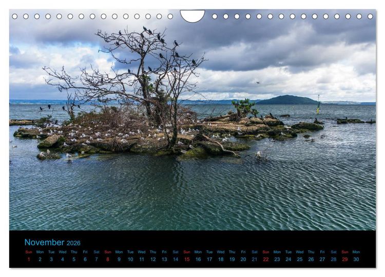 Produktbild: New Zealand - A bicycle adventure (Wall Calendar 2026 DIN A4 landscape), CALVENDO 12 Month Wall Calendar