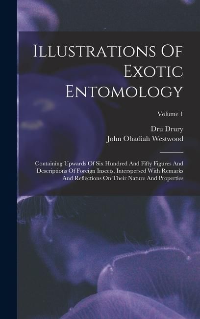 Produktbild: Illustrations Of Exotic Entomology