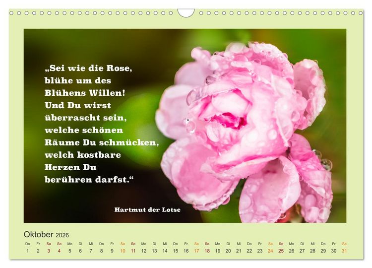 Produktbild: Co-Kreation, Gemeinsam Wunder erschaffen (Wandkalender 2026 DIN A3 quer), CALVENDO Monatskalender