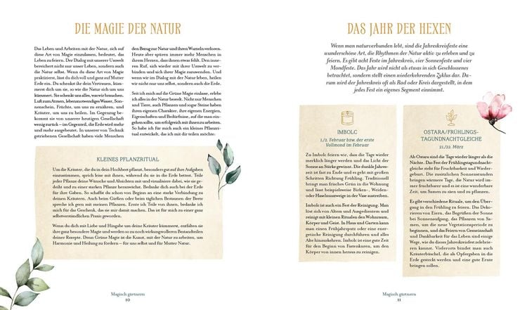 Produktbild: Die Magie der Natur: Hexenkr&auml;uter im Hochbeet
