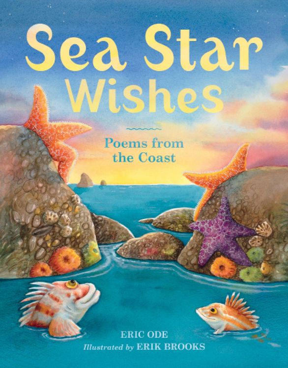 Produktbild: Ode, E: Sea Star Wishes