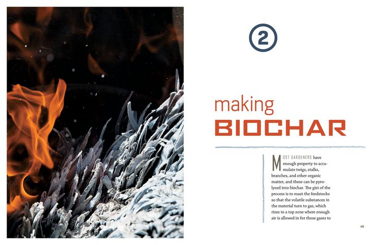Produktbild: Gardening with Biochar