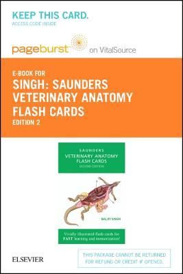 Produktbild: Veterinary Anatomy Flash Cards