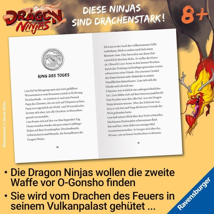 Produktbild: Dragon Ninjas, Band 2 - Der Drache des Feuers