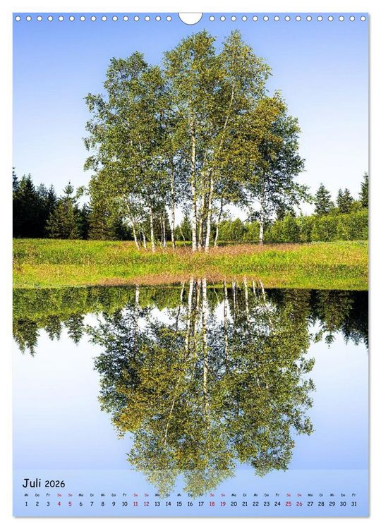 Produktbild: Spiegelb&auml;ume (Wandkalender 2026 DIN A3 hoch), CALVENDO Monatskalender