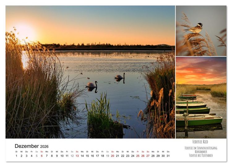 Produktbild: Schwabens Riede und Moore (Wandkalender 2026 DIN A4 quer), CALVENDO Monatskalender