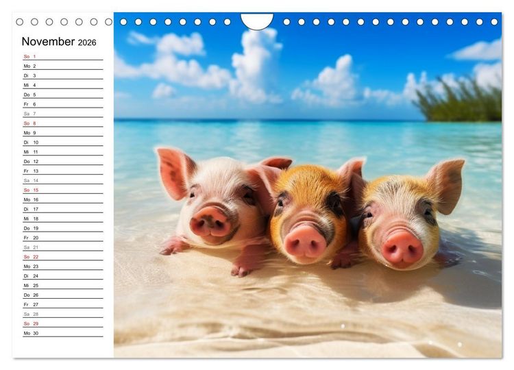 Produktbild: Schweinereien in der Karibik. Sonne und Spa&szlig; mit schwimmenden Schweinen (Wandkalender 2026 DIN A4 quer), CALVENDO Monatskalender