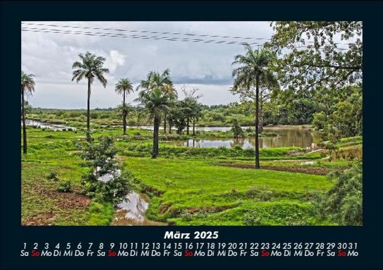 Produktbild: Palmentraum 2025 Fotokalender DIN A5