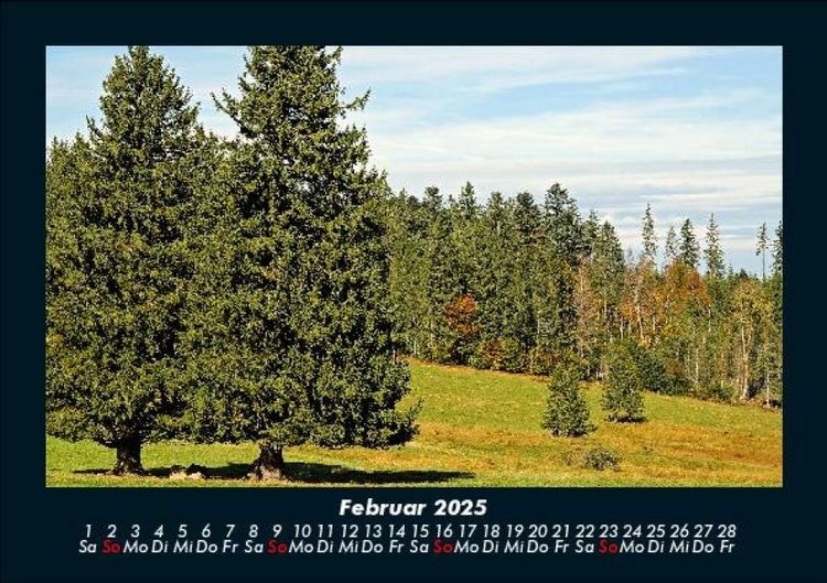 Produktbild: B&auml;ume 2025 Fotokalender DIN A5