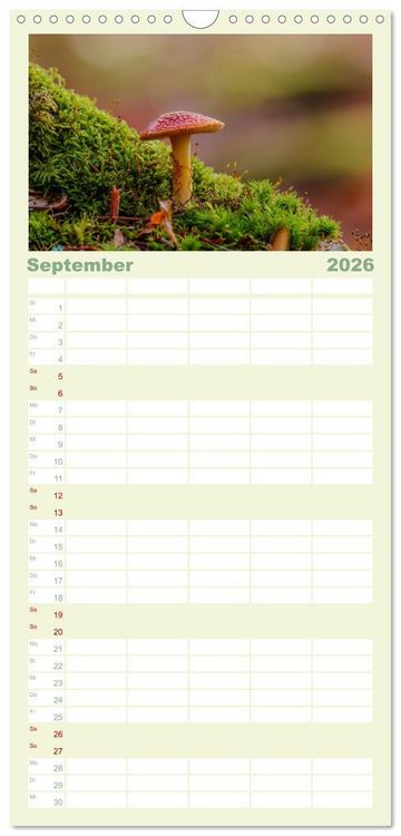 Produktbild: Familienplaner 2026 - Die Welt der Fliegenpilze mit 5 Spalten (Wandkalender, 21 x 45 cm) CALVENDO