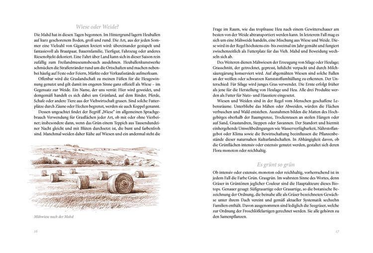 Produktbild: Sommerwiese