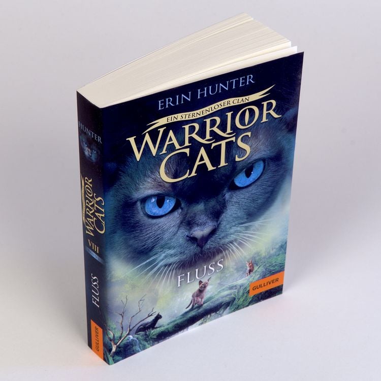 Produktbild: Warrior Cats - Ein sternenloser Clan. Fluss