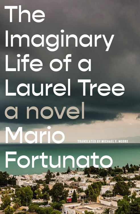Produktbild: The Imaginary Life of a Laurel Tree