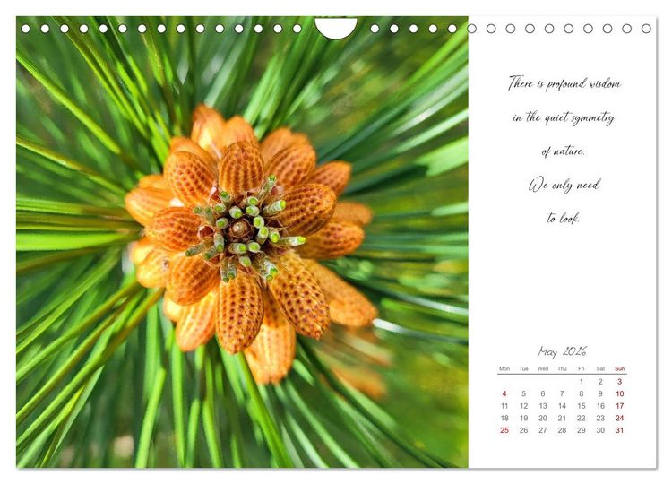 Produktbild: Golden breaks with mindfulness (Wall Calendar 2026 DIN A4 landscape), CALVENDO 12 Month Wall Calendar