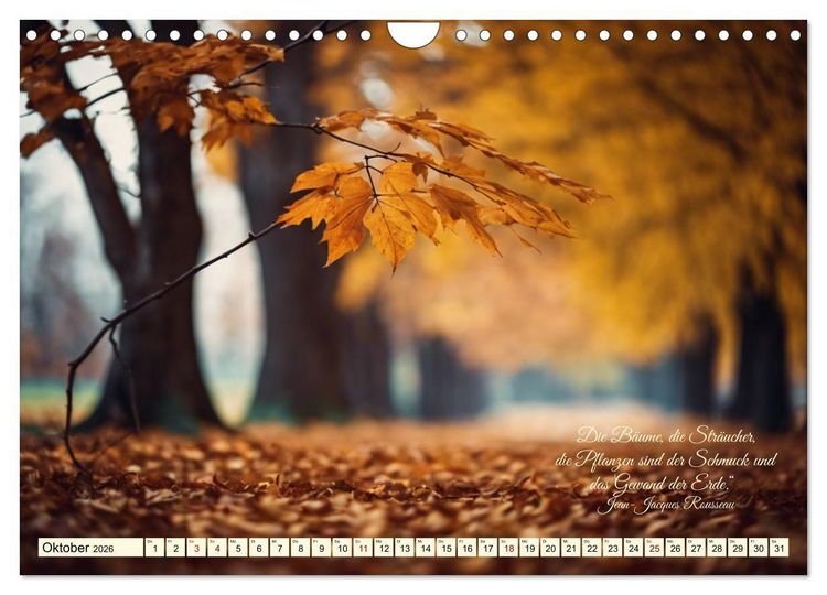 Produktbild: Waldbaden - Shinrin Yoku (Wandkalender 2026 DIN A4 quer), CALVENDO Monatskalender
