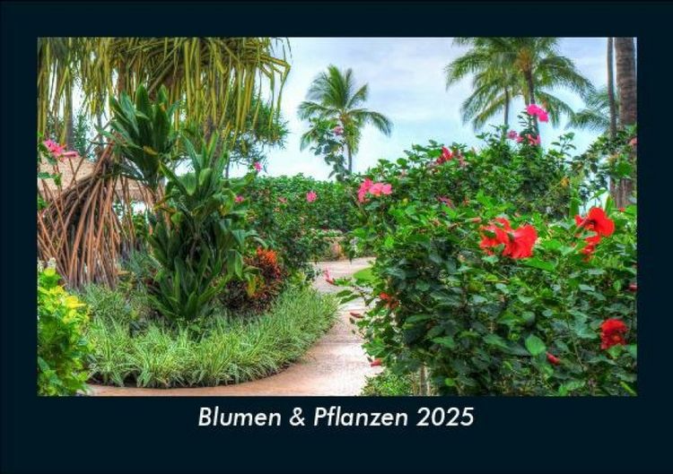 Produktbild: Blumen & Pflanzen 2025 Fotokalender DIN A5