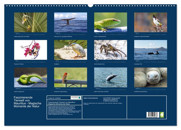 Produktbild: Faszinierende Tierwelt von Mauritius - Magische Momente der Natur (Wandkalender 2026 DIN A2 quer), CALVENDO Monatskalender