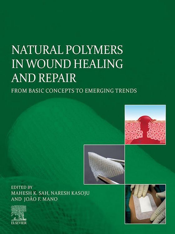 Produktbild: Natural Polymers in Wound Healing and Repair