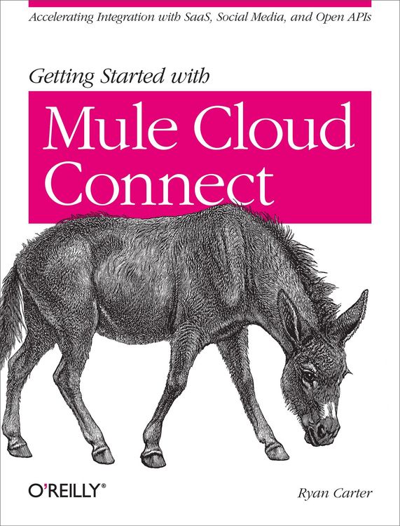 Produktbild: Getting Started with Mule Cloud Connect